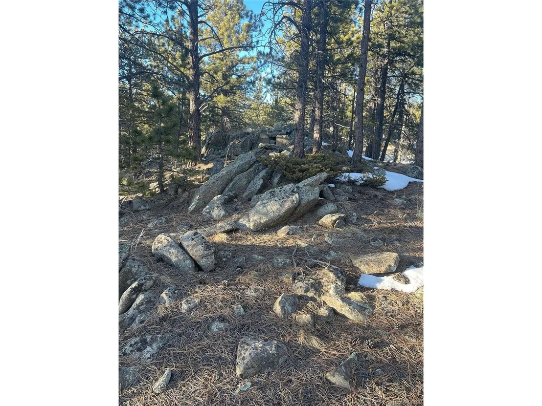 Photo of 275 Bigbee High Rd
