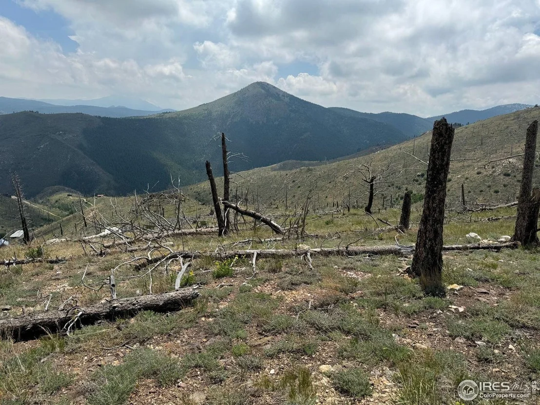 Photo of 280 Rim Rd