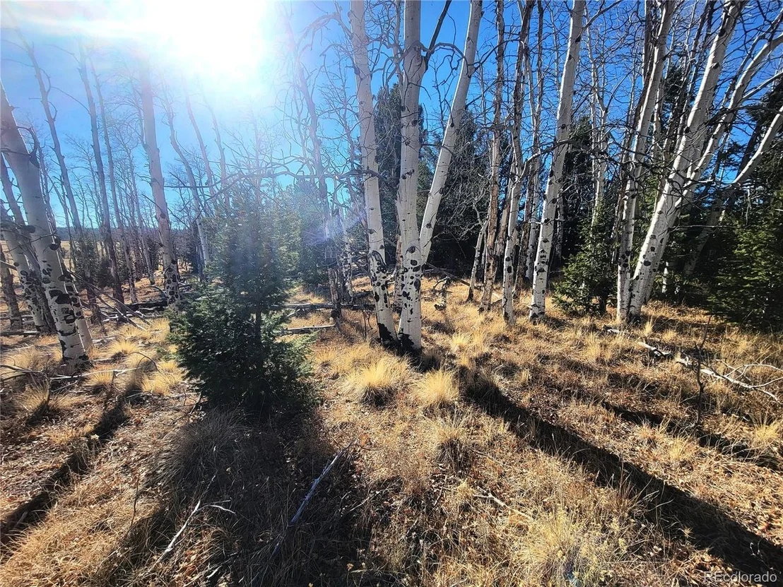 Photo of 8802 Ranch Rd