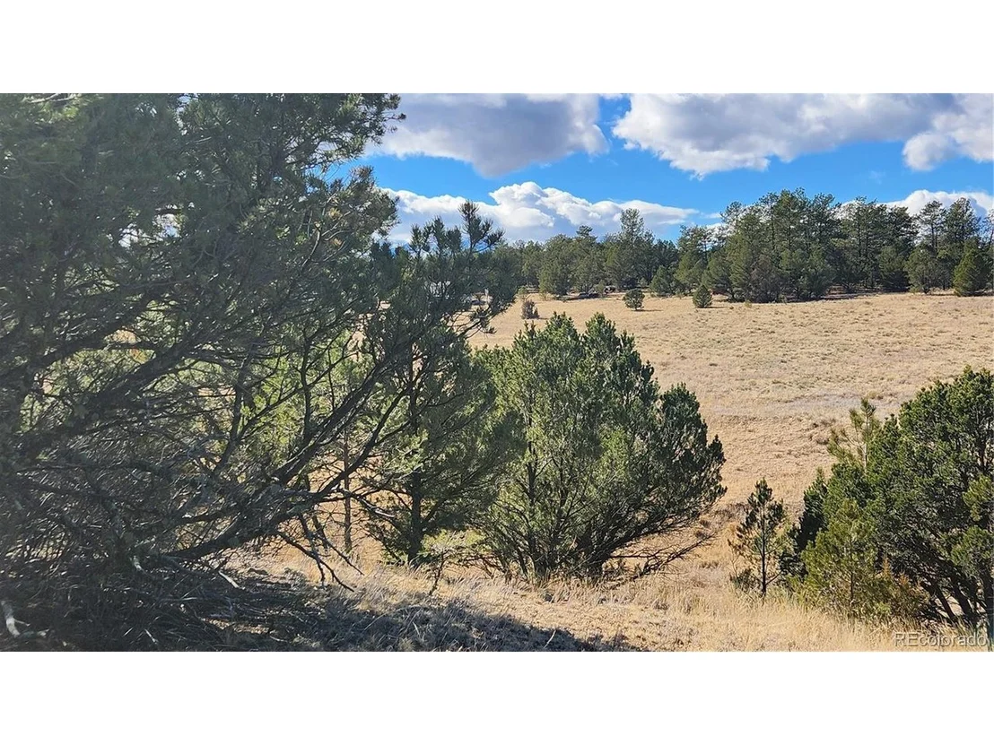 Photo of 311 Kit Carson Trl