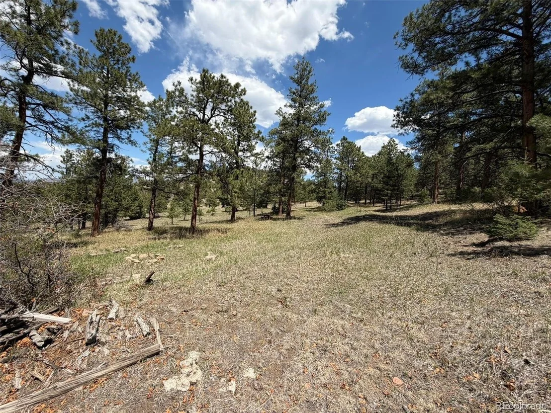 Photo of 477 Bear Peak Rd
