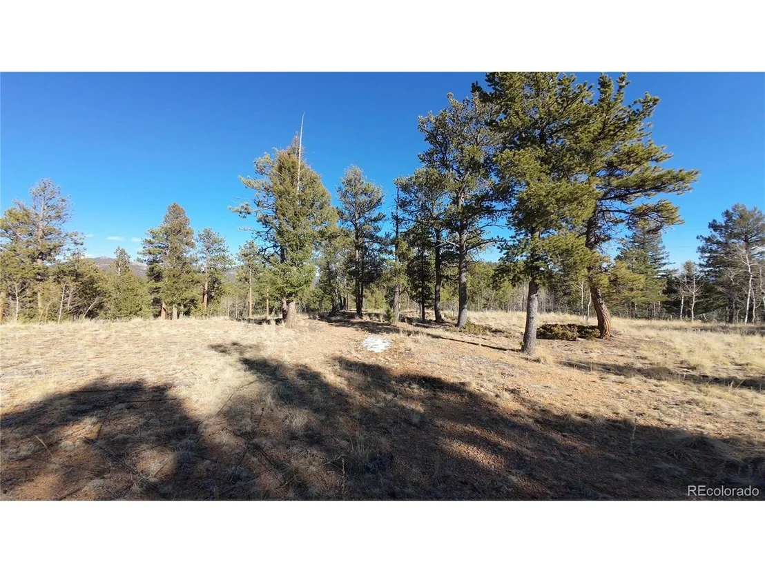 Photo of 927 Forest Dr