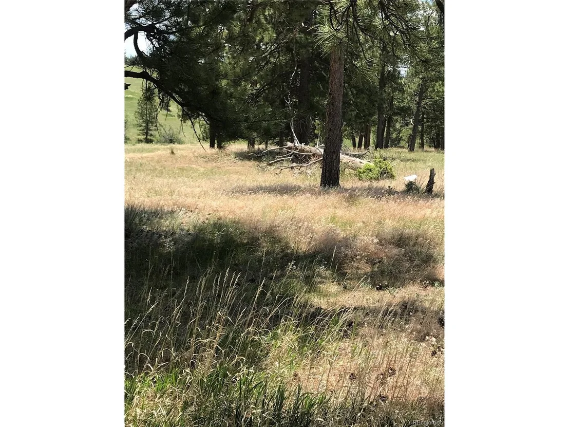 Photo of 10560 Shadow Pines Rd