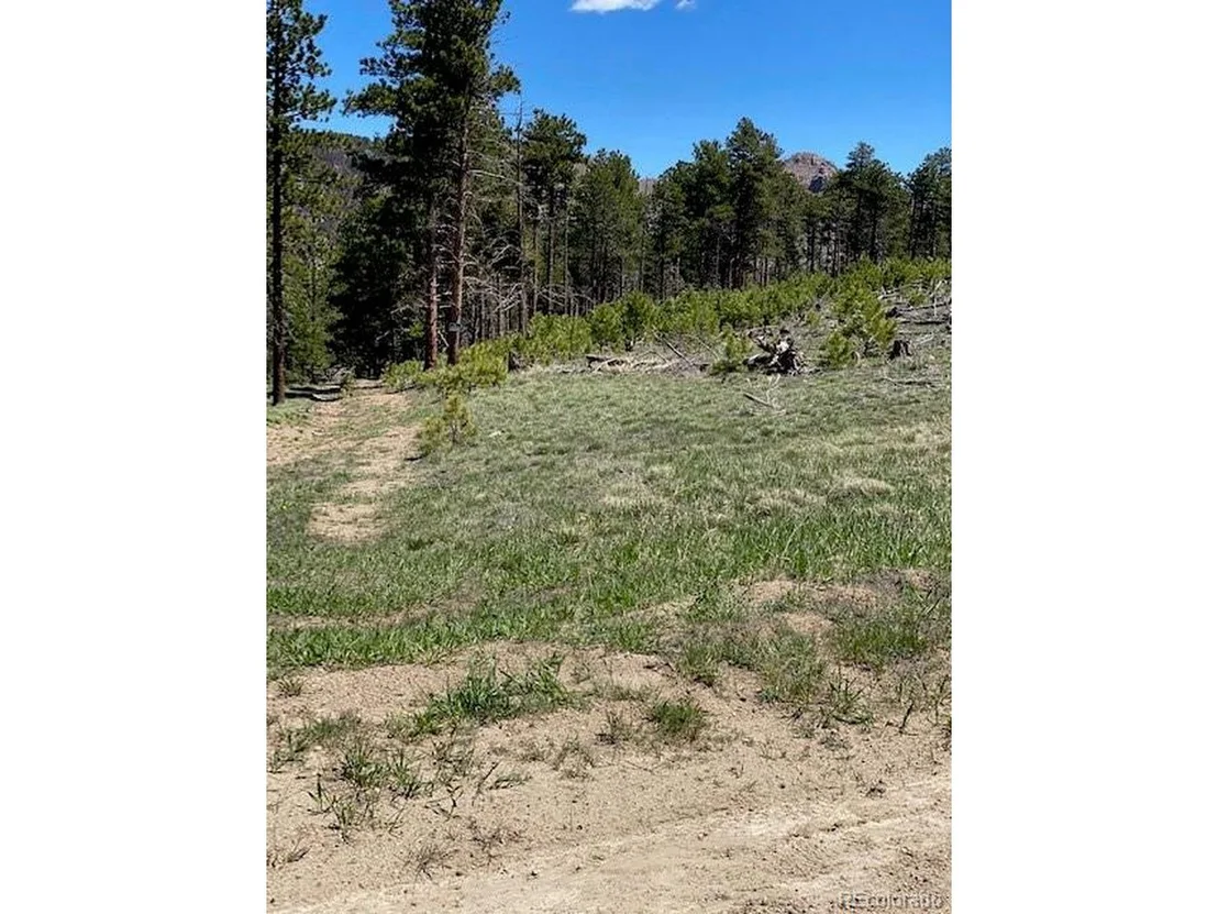 Photo of 1009 County Road 87J