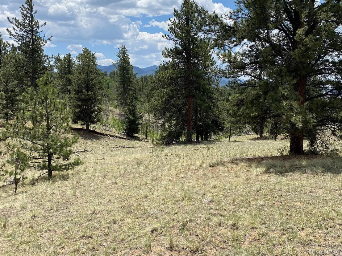 Photo of 73 Rams Run