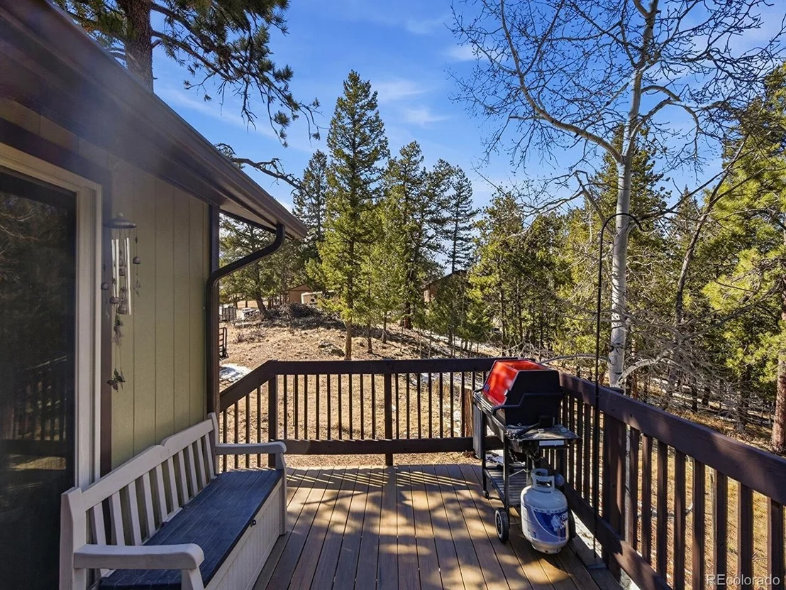 Photo of 399 Conifer Dr