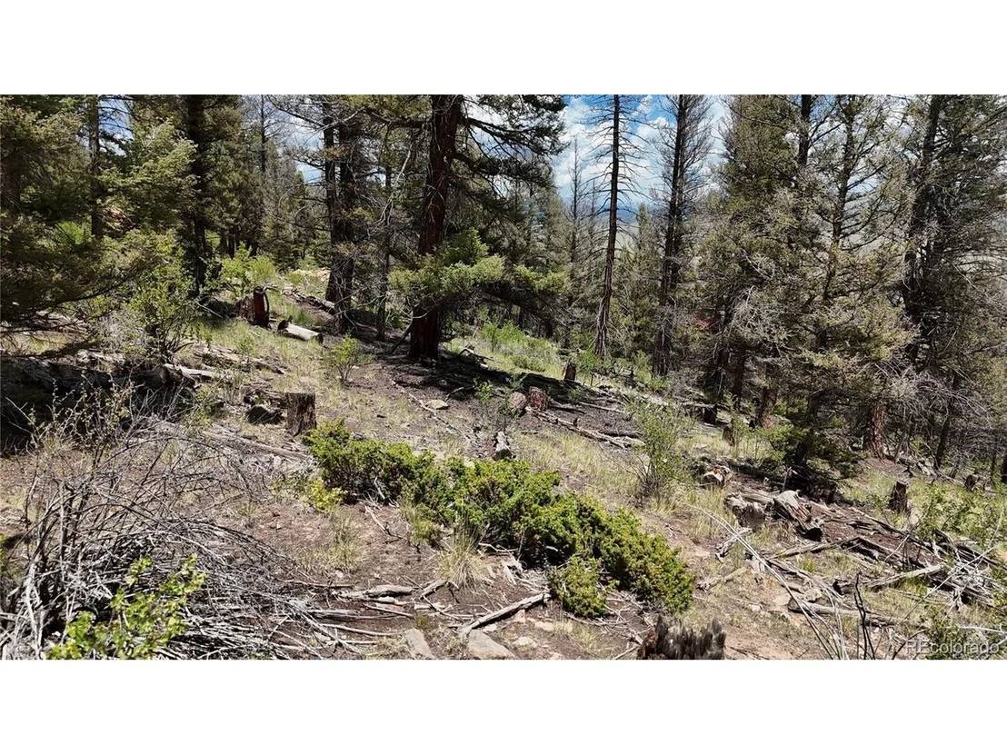 Photo of 1348 Middle Fork Vis