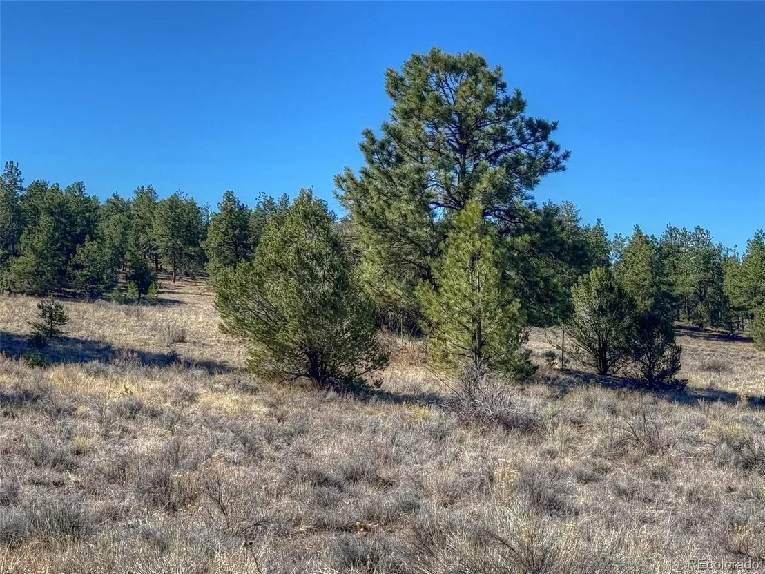 Photo of 885 Crow Rd