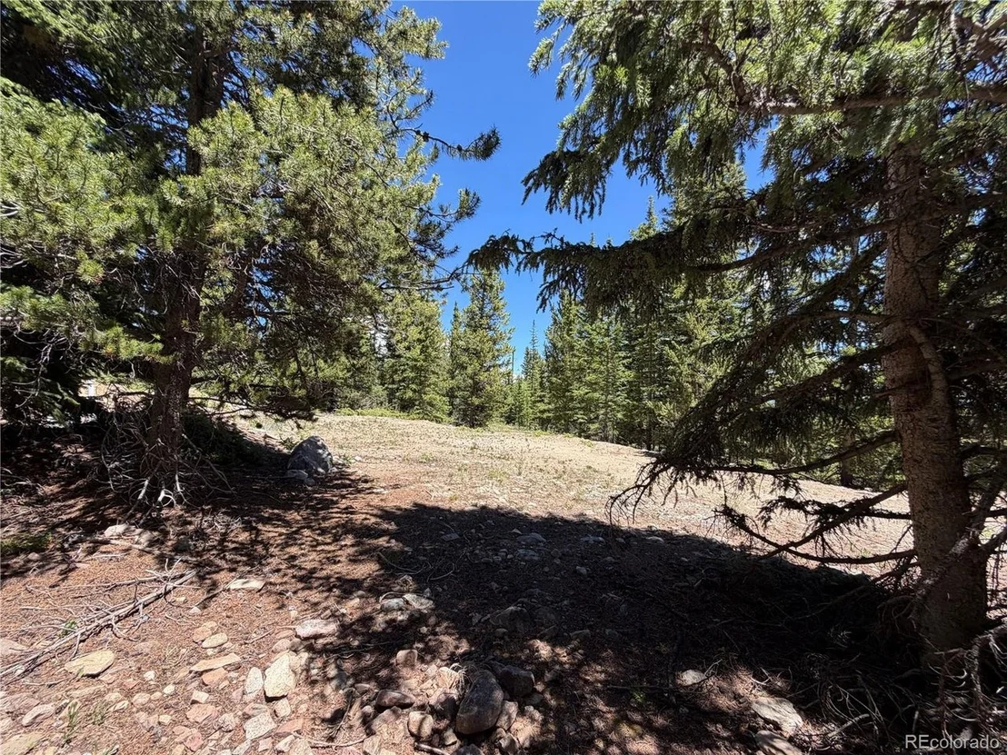 Photo of 339 Silverheels Pl