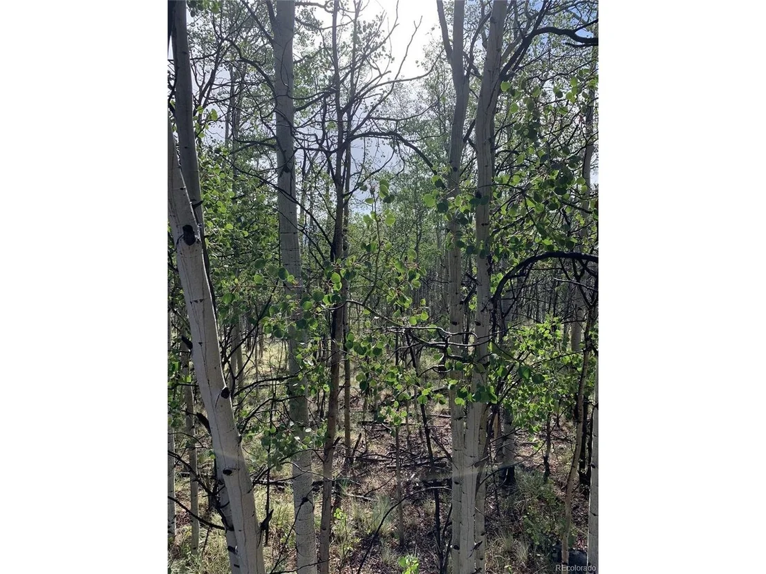 Photo of 540 Vulture Ln