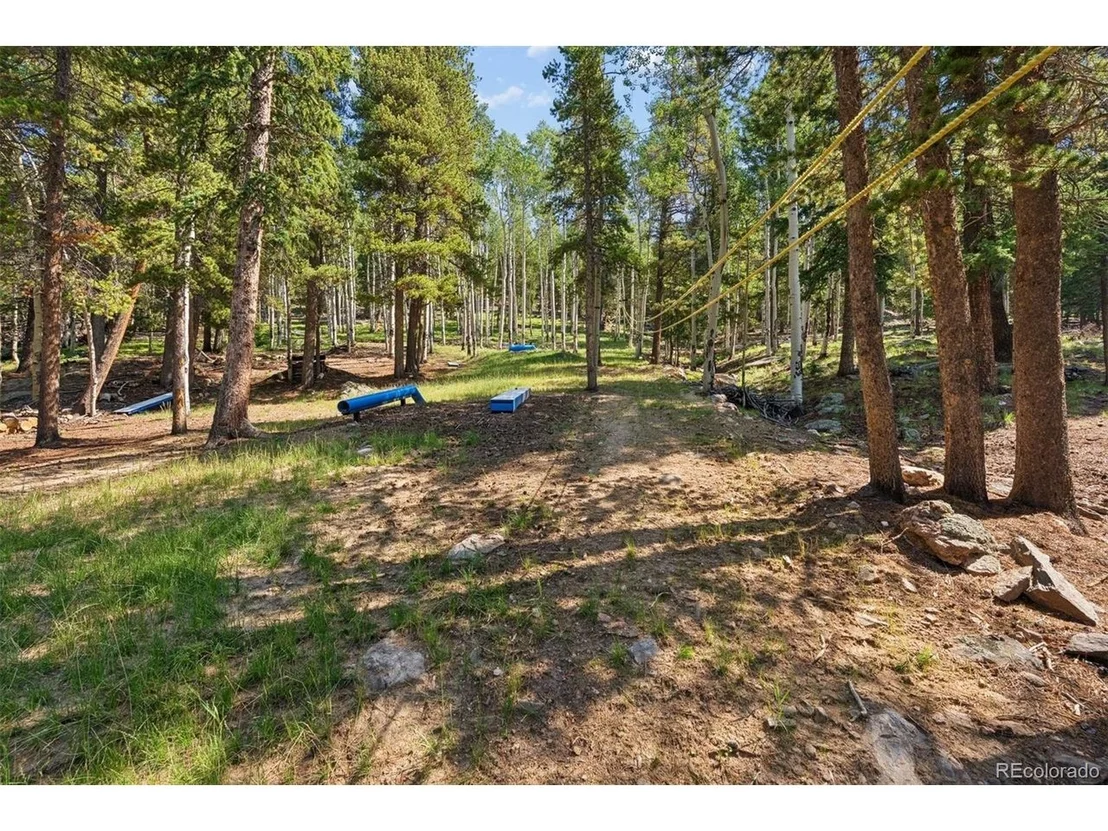 Photo of 11102 Conifer Mountain Rd