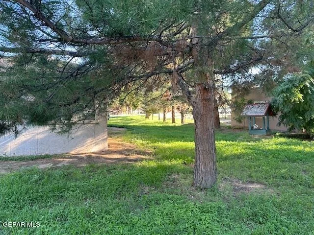 Photo of 219 MAIN Street