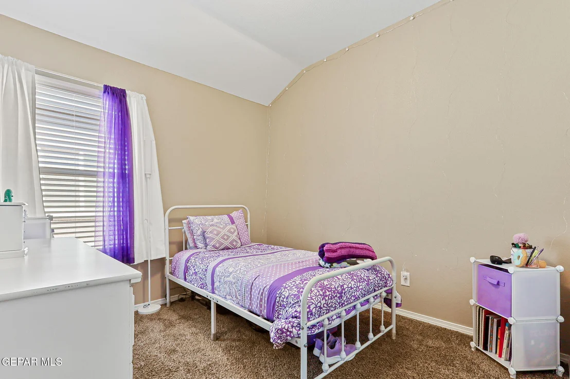 Photo of 204 FLOR BORRAJA
