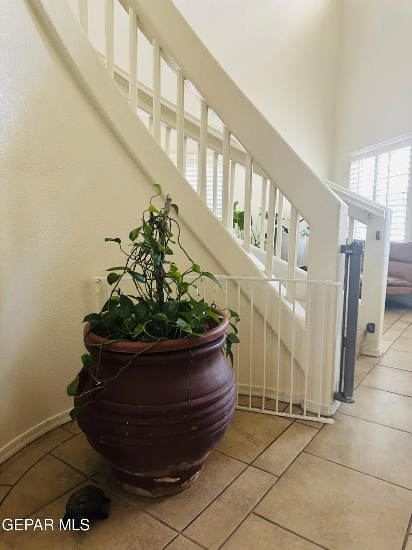 Photo of 12641 SUN HAVEN Drive
