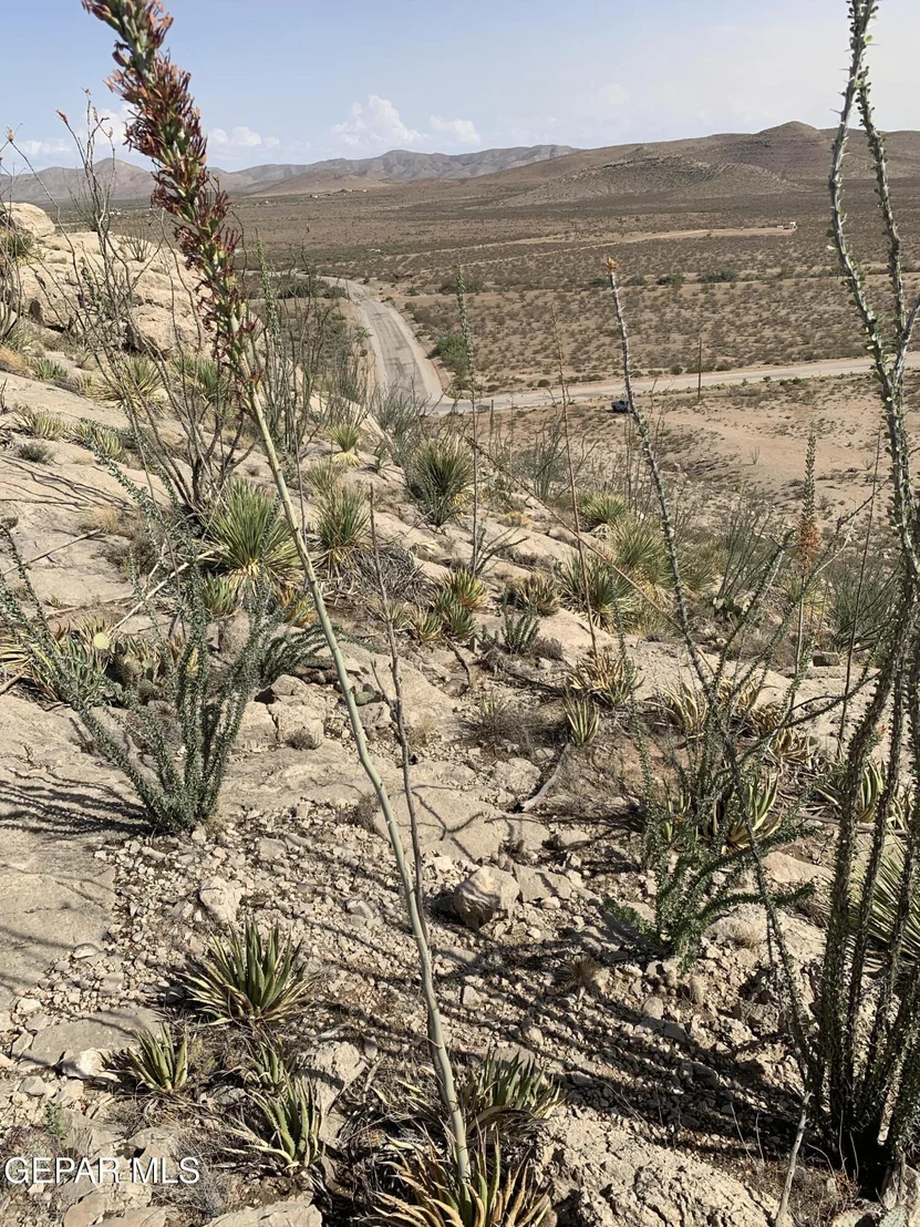 Photo of 17199 Old Butterfield Trail