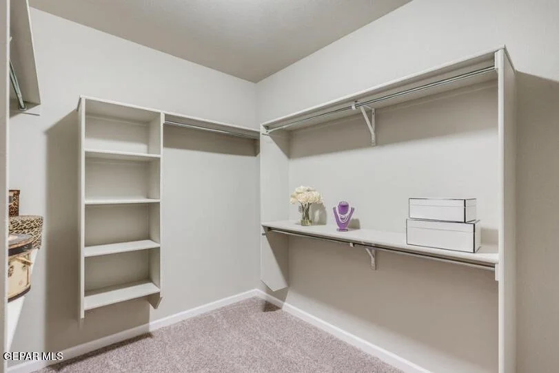 Photo of 2429 TONY HARPER Street