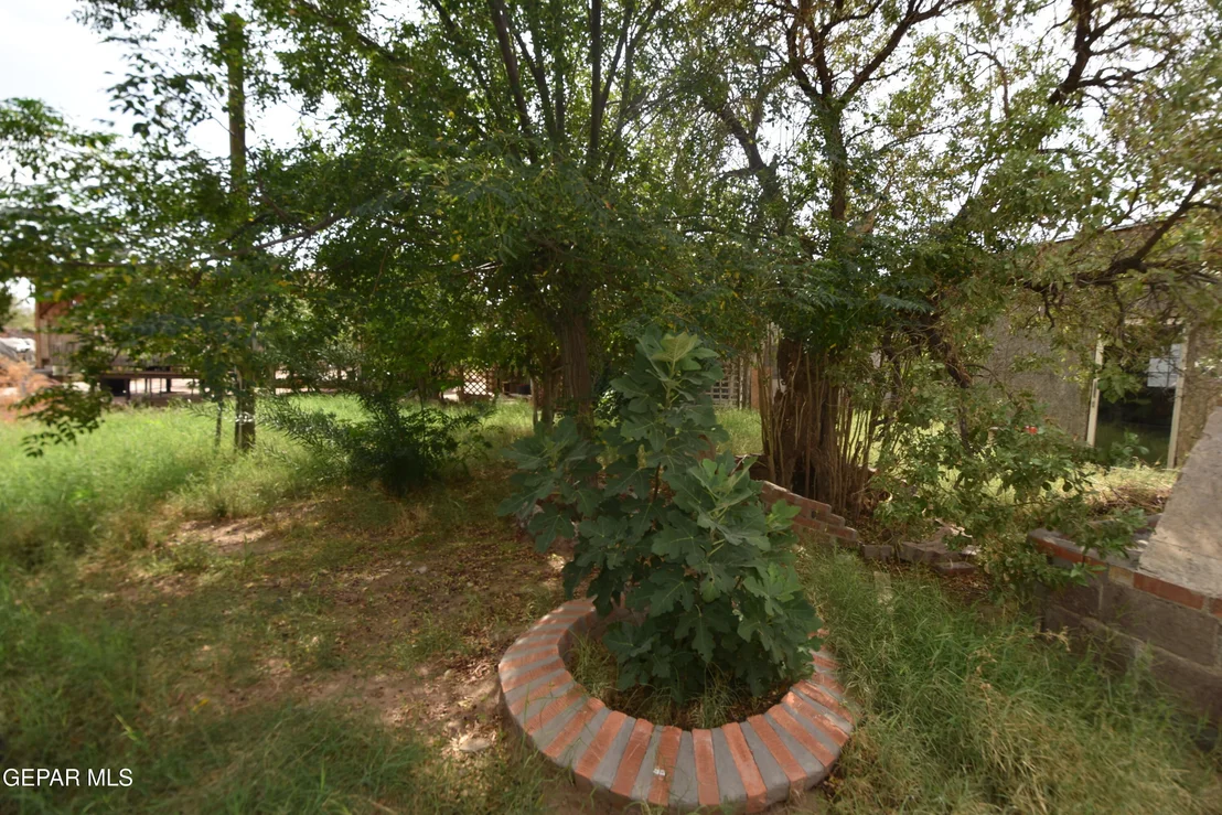 Photo of 8141 KIELY Road