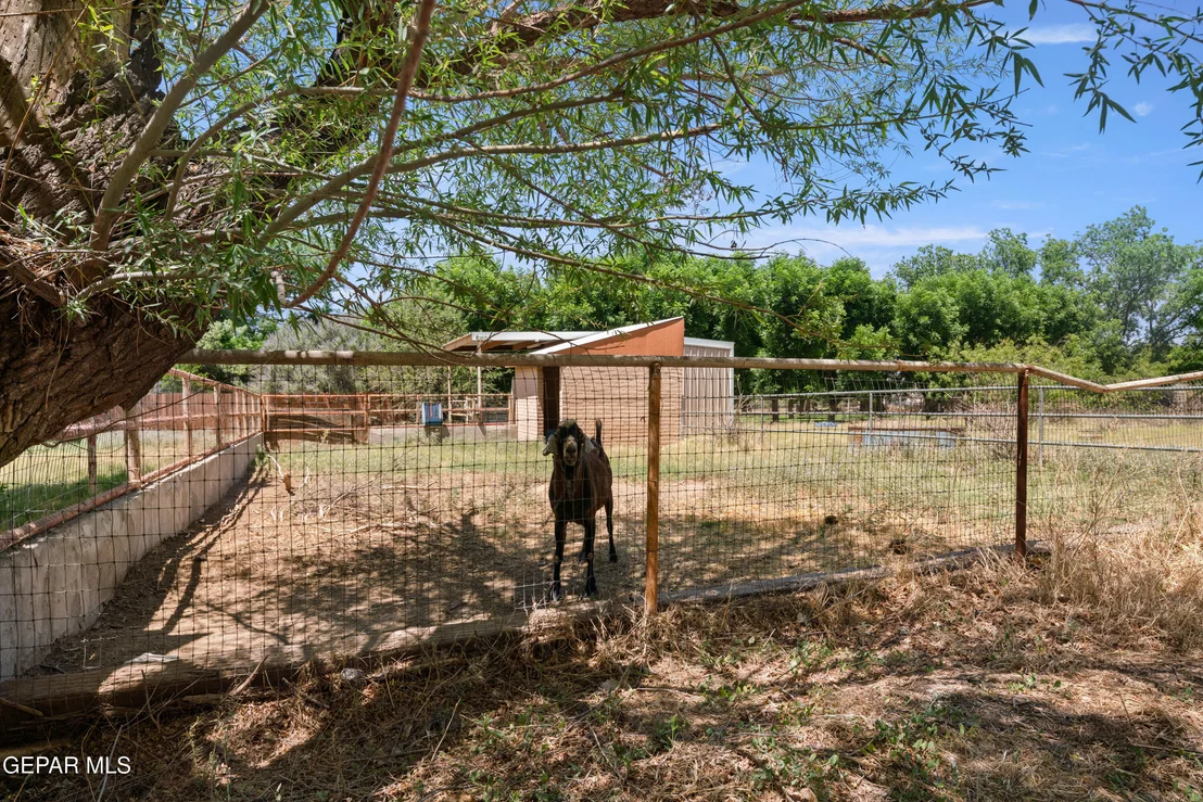 Photo of 6756 GATO Road