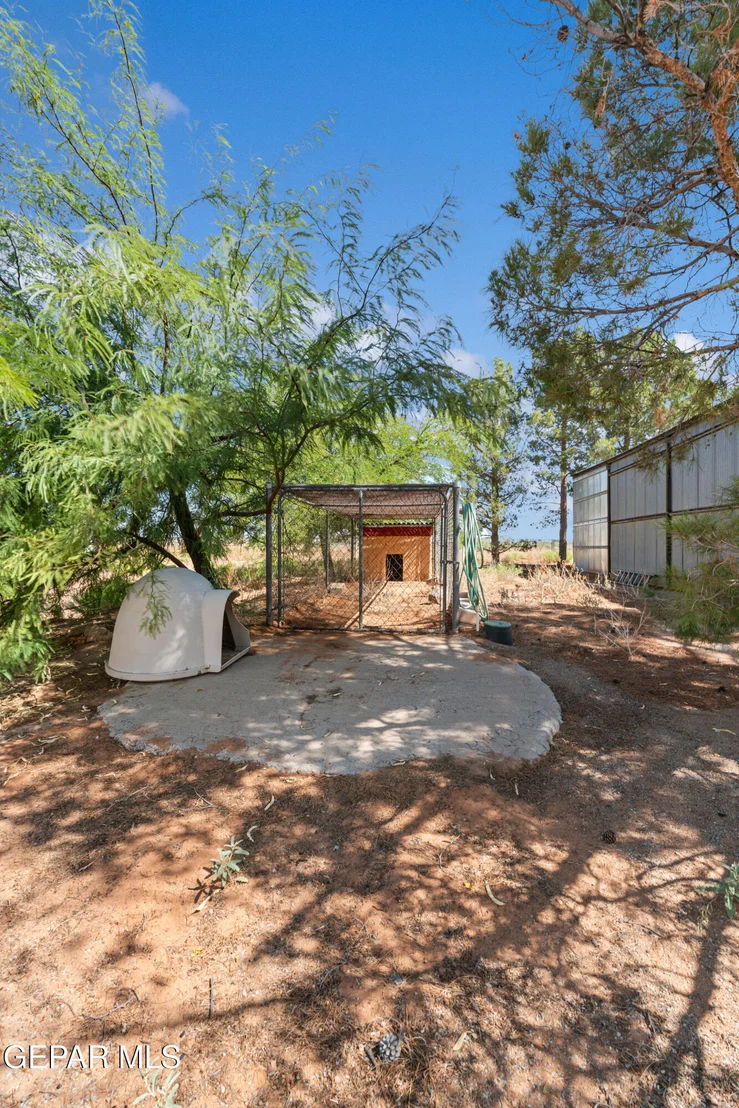Photo of 5249 DESERT WILLOW Drive