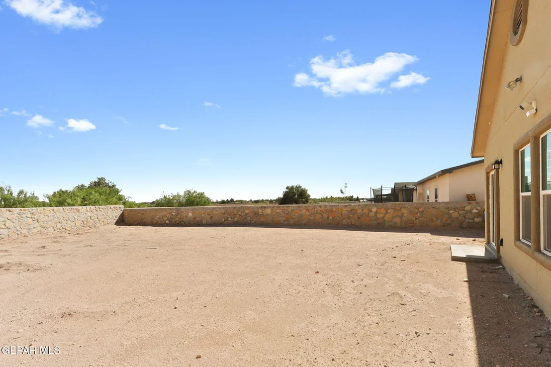 Photo of 204 FLOR BORRAJA