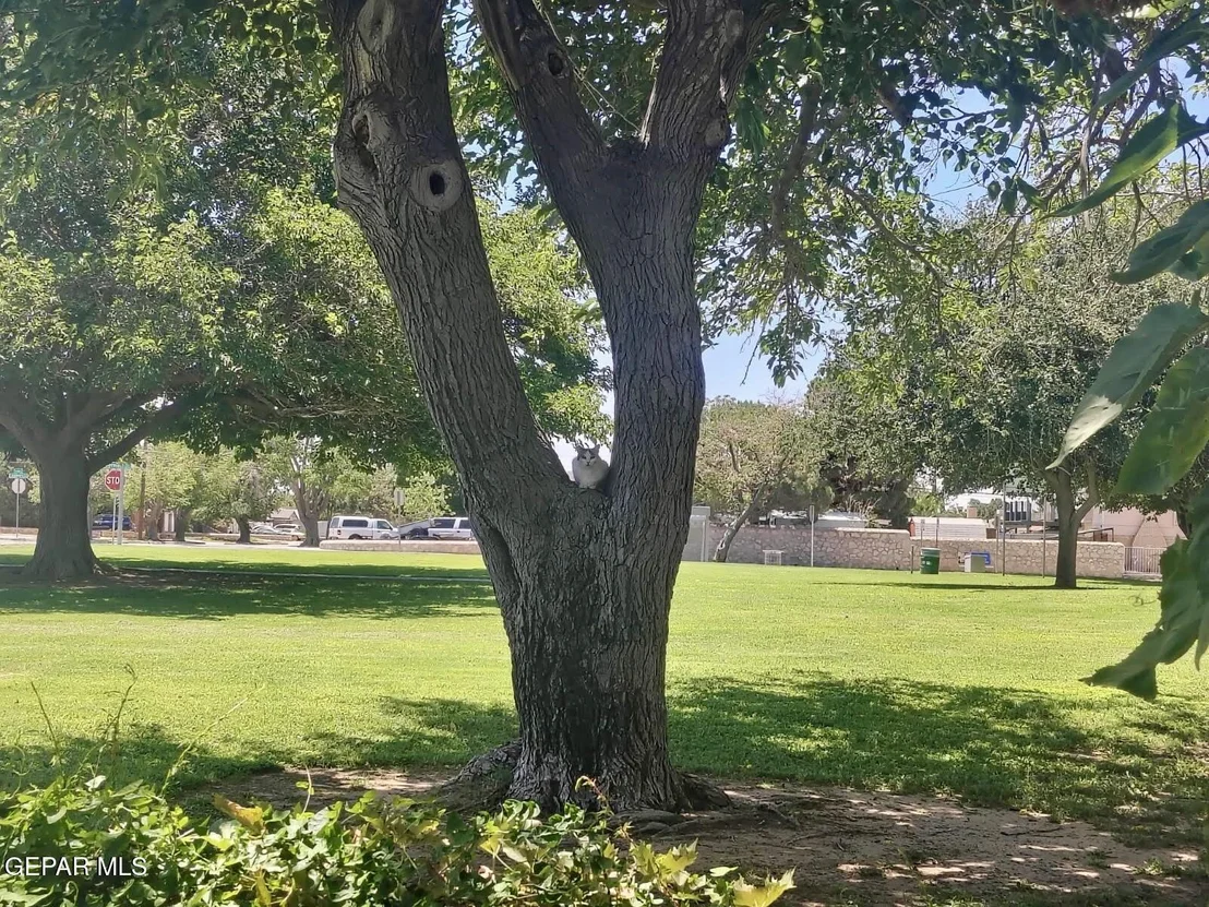 Photo of 3305 Tyrone Road
