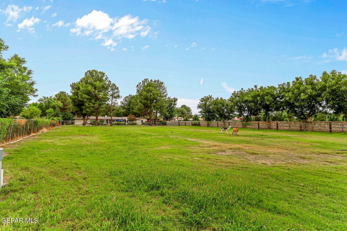 Photo of 4298 BOY SCOUT Lane