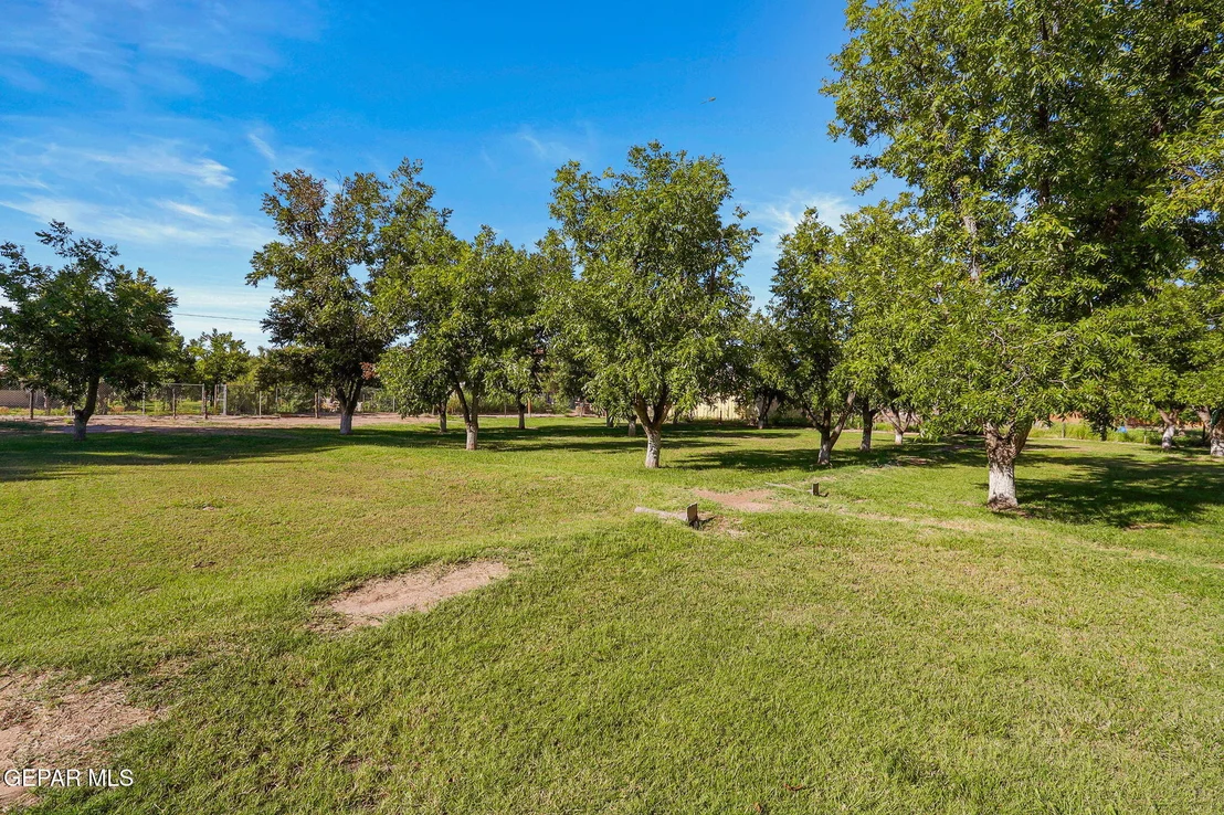 Photo of 136 LAURA GALE Drive