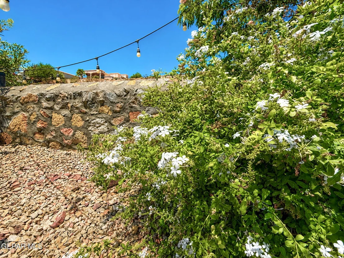 Photo of 6633 WIND RIDGE Drive