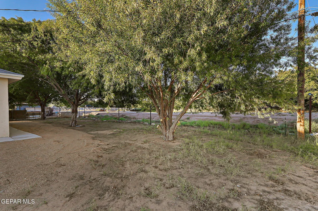Photo of 12343 Orchard Park