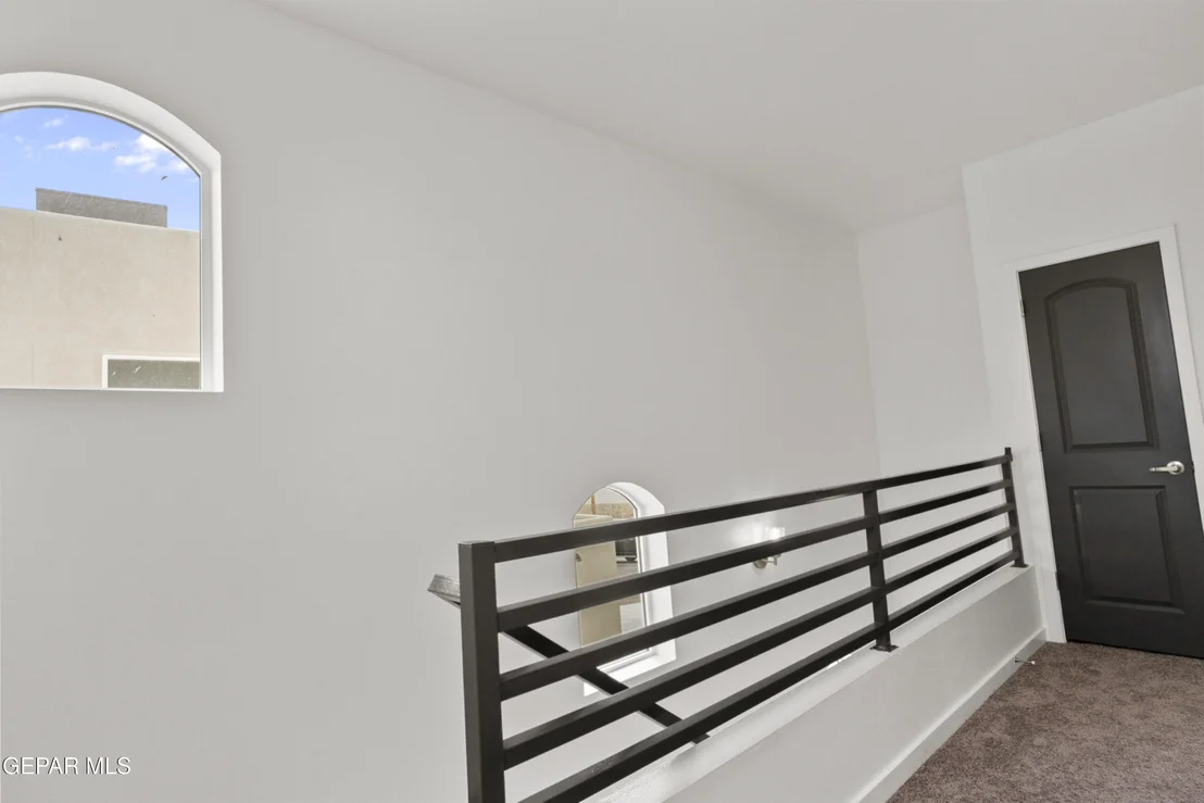 Photo of 2320 Enchanted Hawk