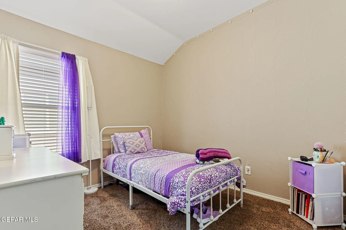 Photo of 204 FLOR BORRAJA