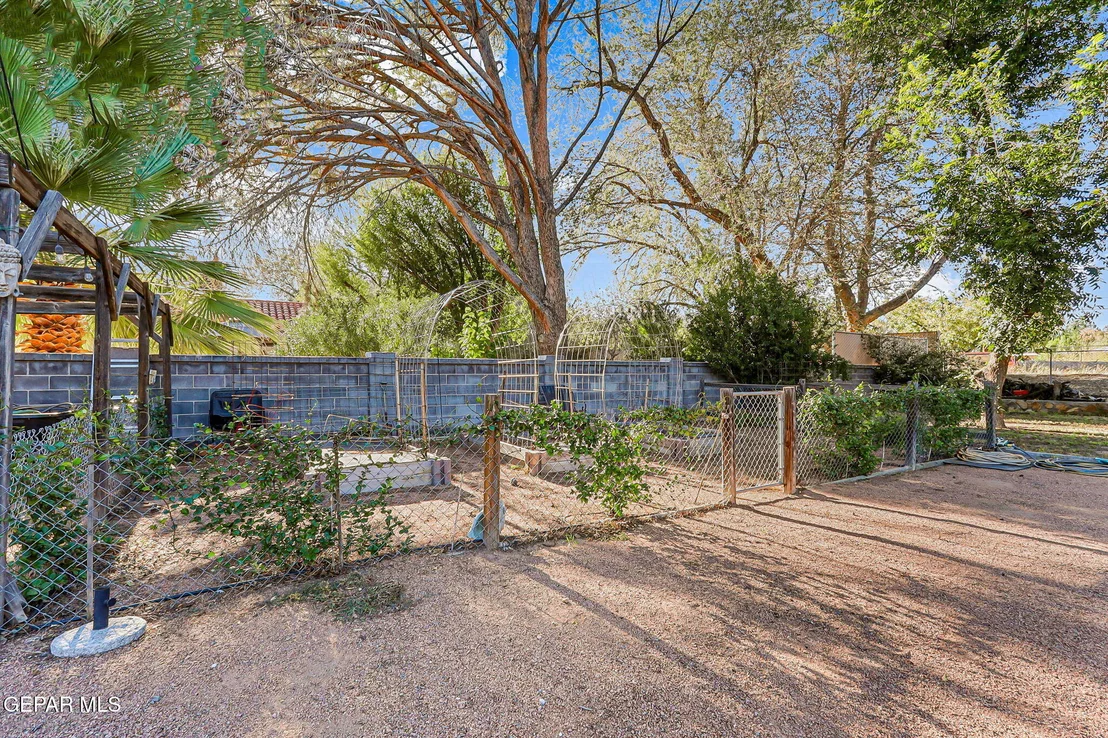 Photo of 717 LIVE OAK Drive