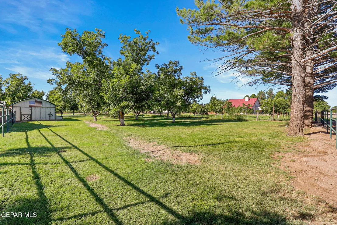 Photo of 136 LAURA GALE Drive