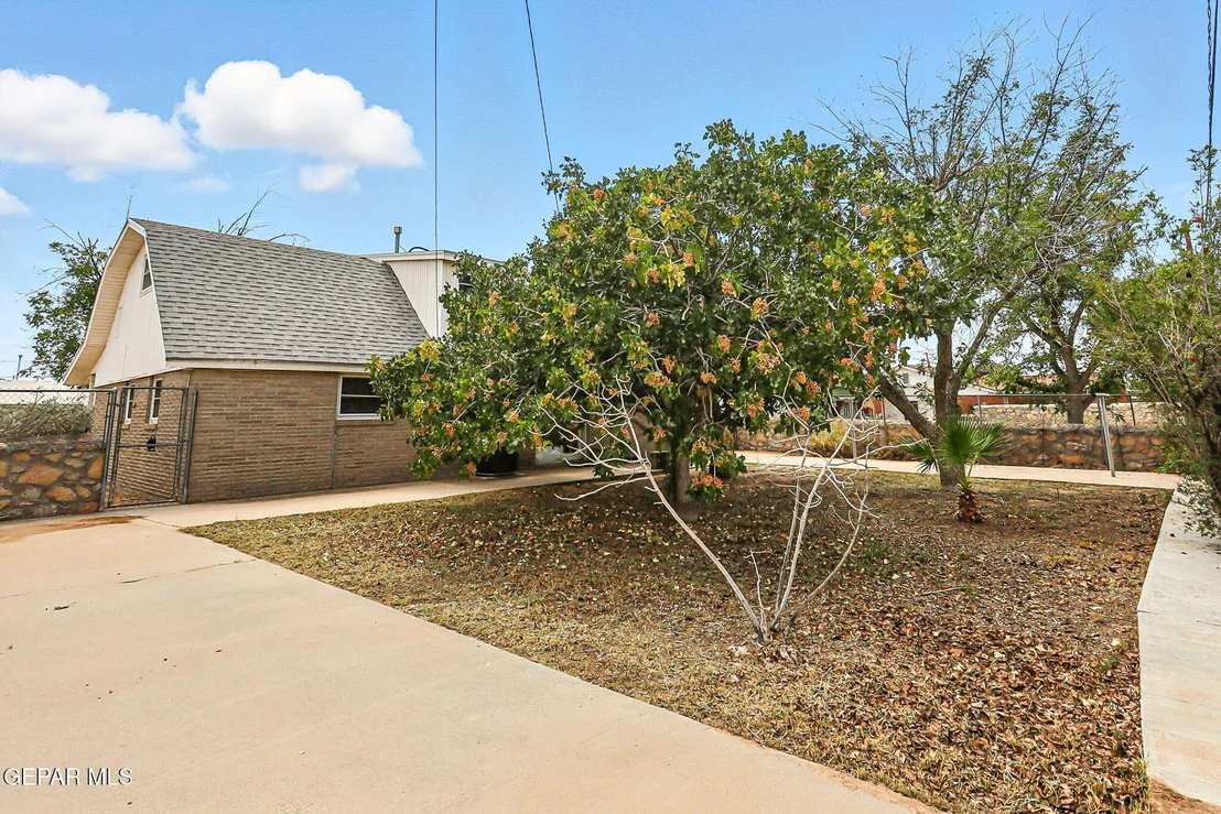 Photo of 10113 CHEZELLE Drive