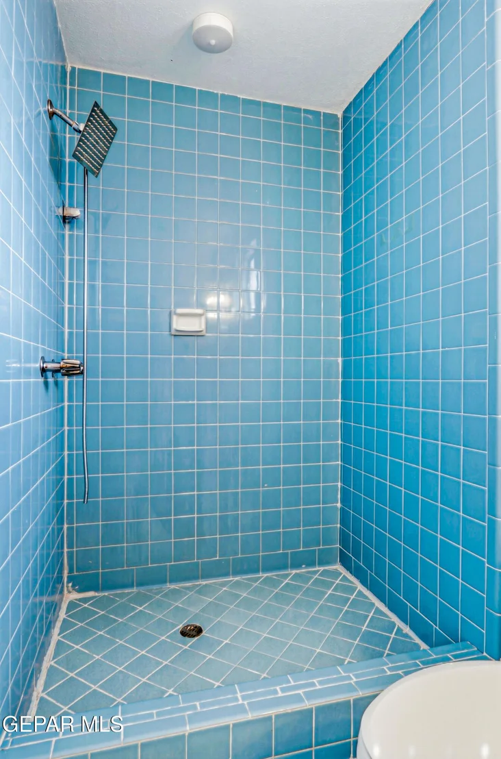 Photo of 8832 MOUNT HAGAN Drive