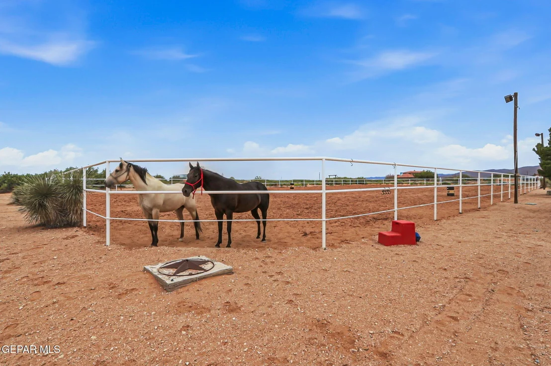 Photo of 6375 DESERT WILLOW Drive