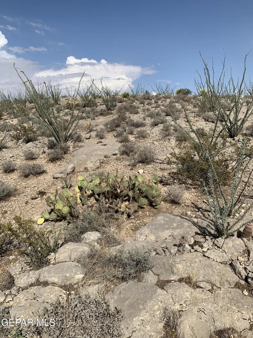 Photo of 17199 Old Butterfield Trail