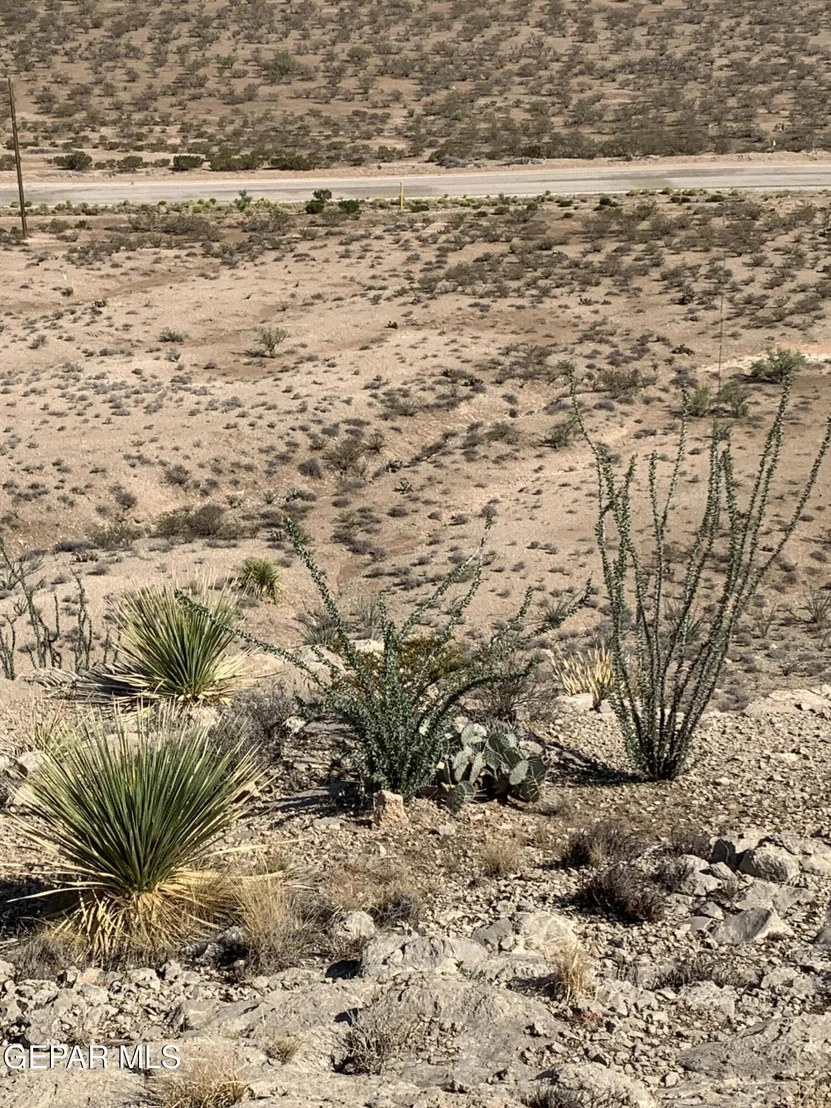 Photo of 17199 Old Butterfield Trail