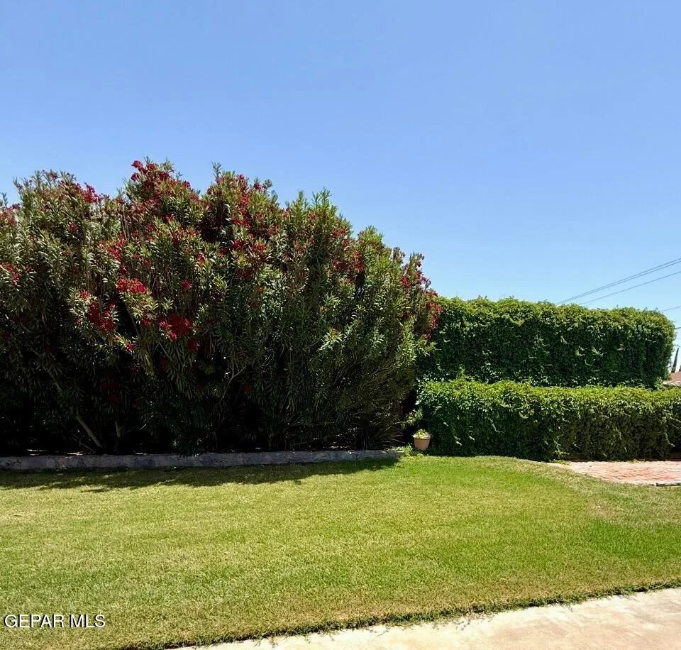 Photo of 2600 Anise Drive