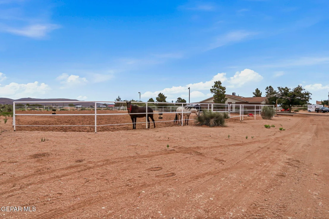 Photo of 6375 DESERT WILLOW Drive