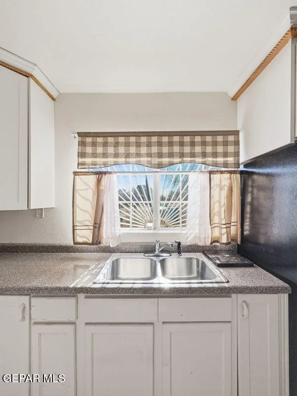 Photo of 445 Suzi Way