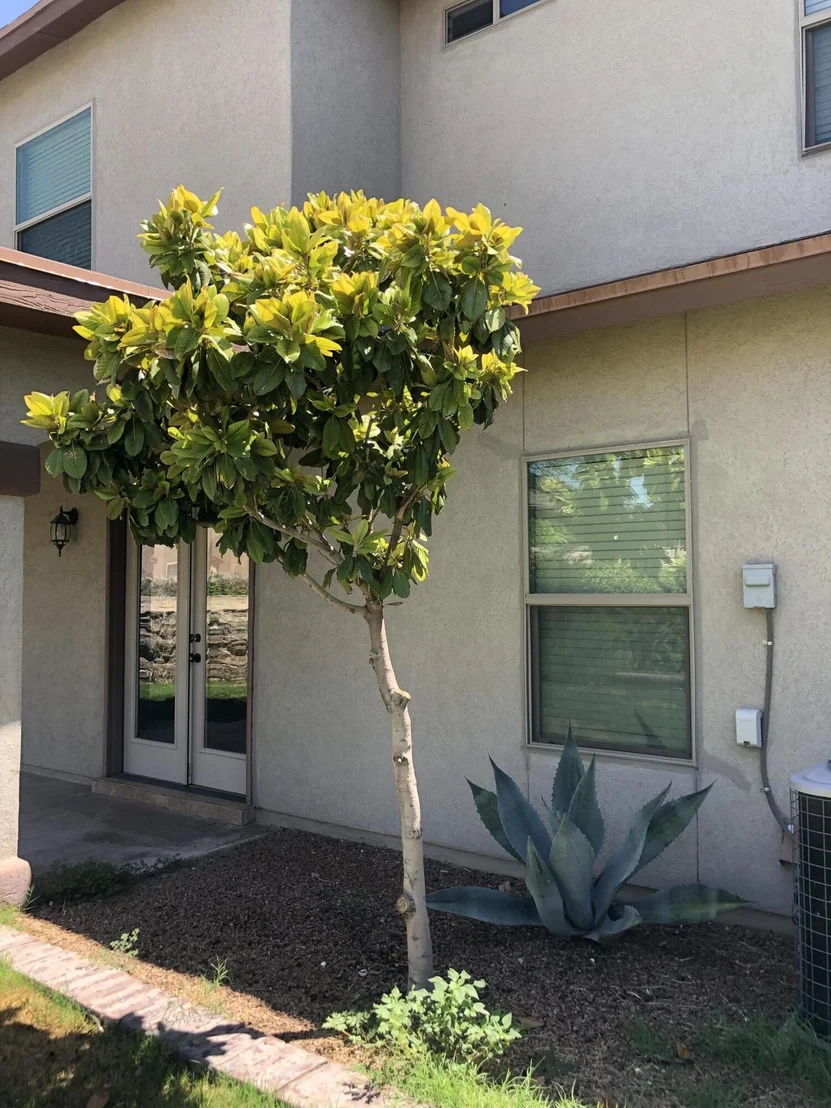 Photo of 5941 REDSTONE RIM Drive