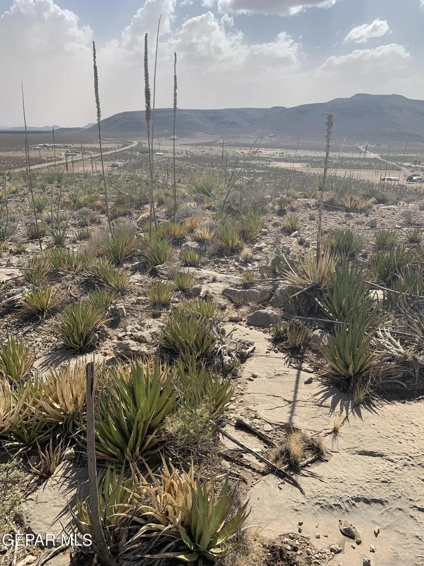 Photo of 17199 Old Butterfield Trail