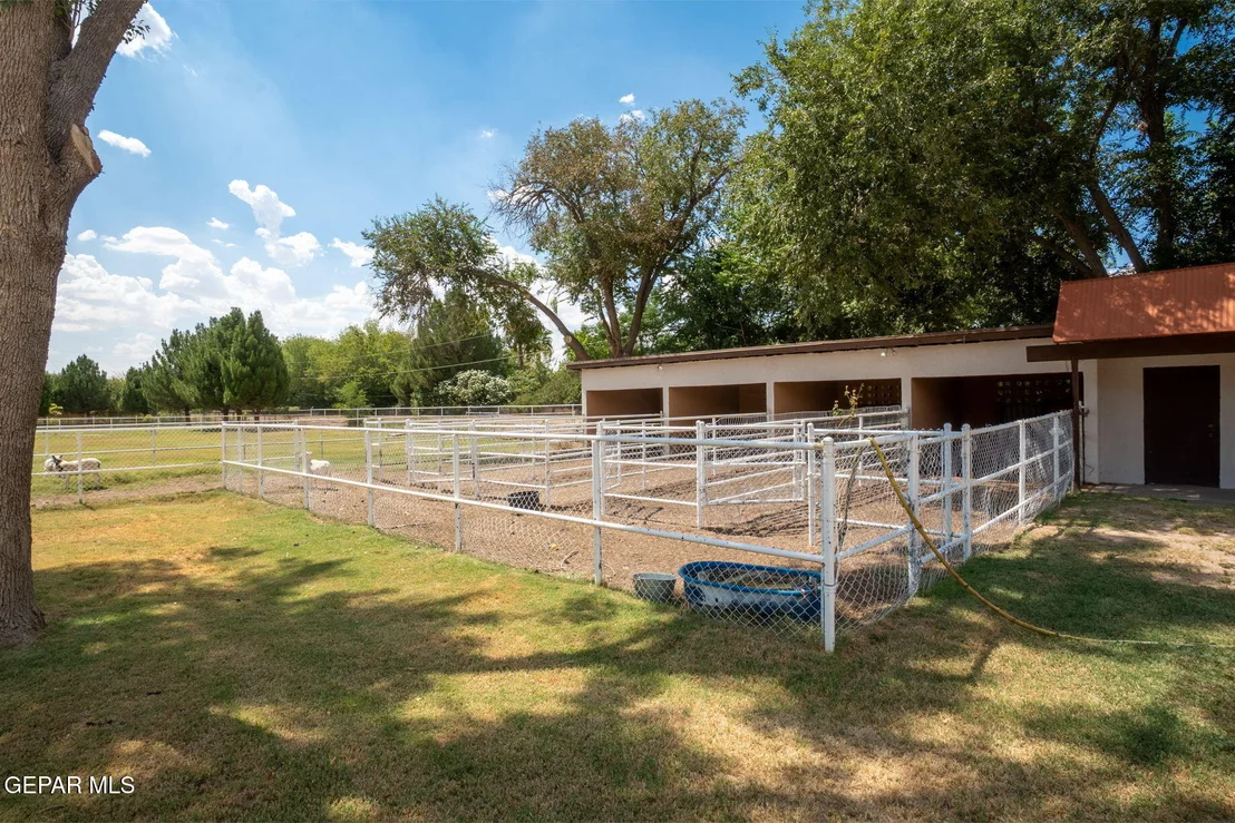 Photo of 4383 BOY SCOUT Lane