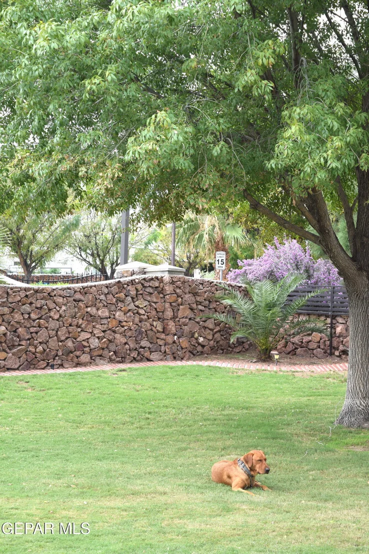 Photo of 620 CINNAMON TEAL Circle