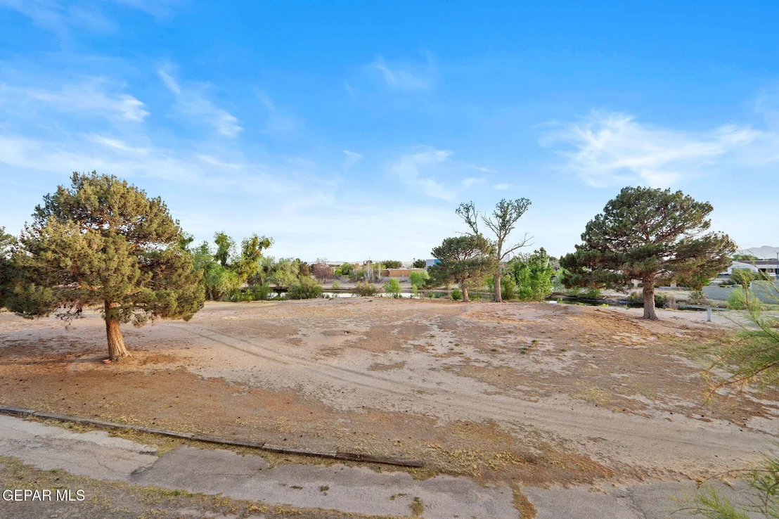 Photo of 11157 LEO COLLINS Drive