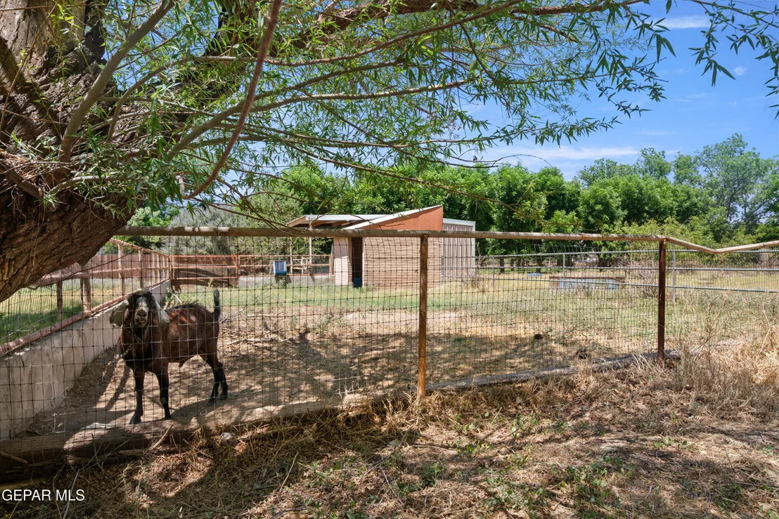 Photo of 6756 GATO Road