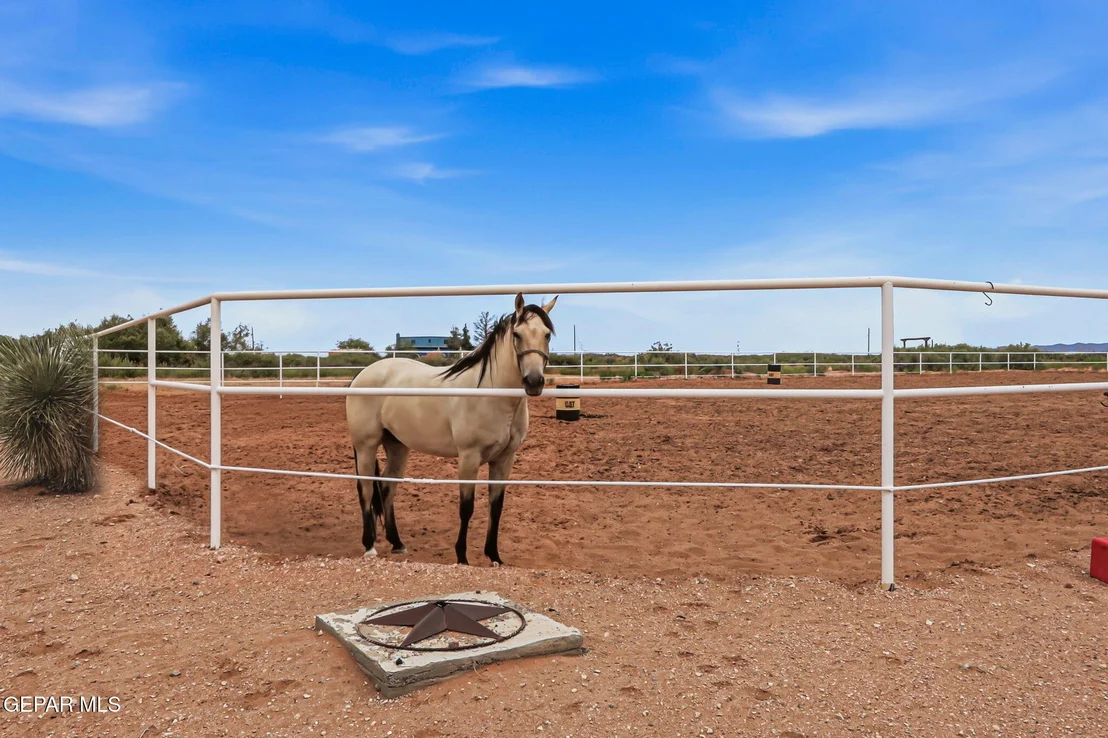 Photo of 6375 DESERT WILLOW Drive