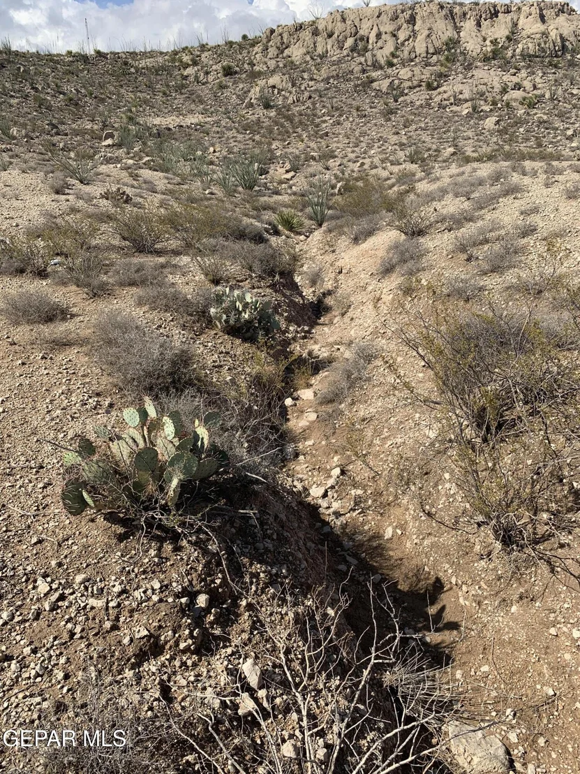 Photo of 17199 Old Butterfield Trail