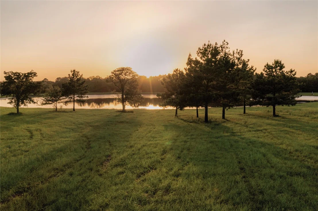 Photo of 16010 Forest Mill Road